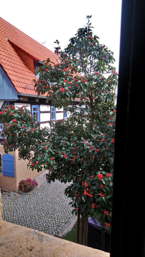 Apartment Nicolaus *